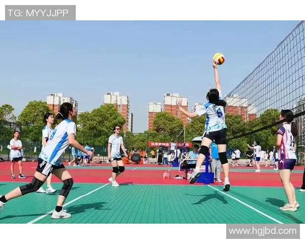 深圳排球队荣登排球灵活性排行榜第三名展现出色竞技实力